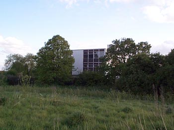 Rosla tree NHS Rosla Block